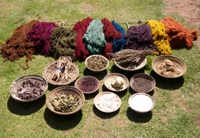 Natural Dyes Exporters